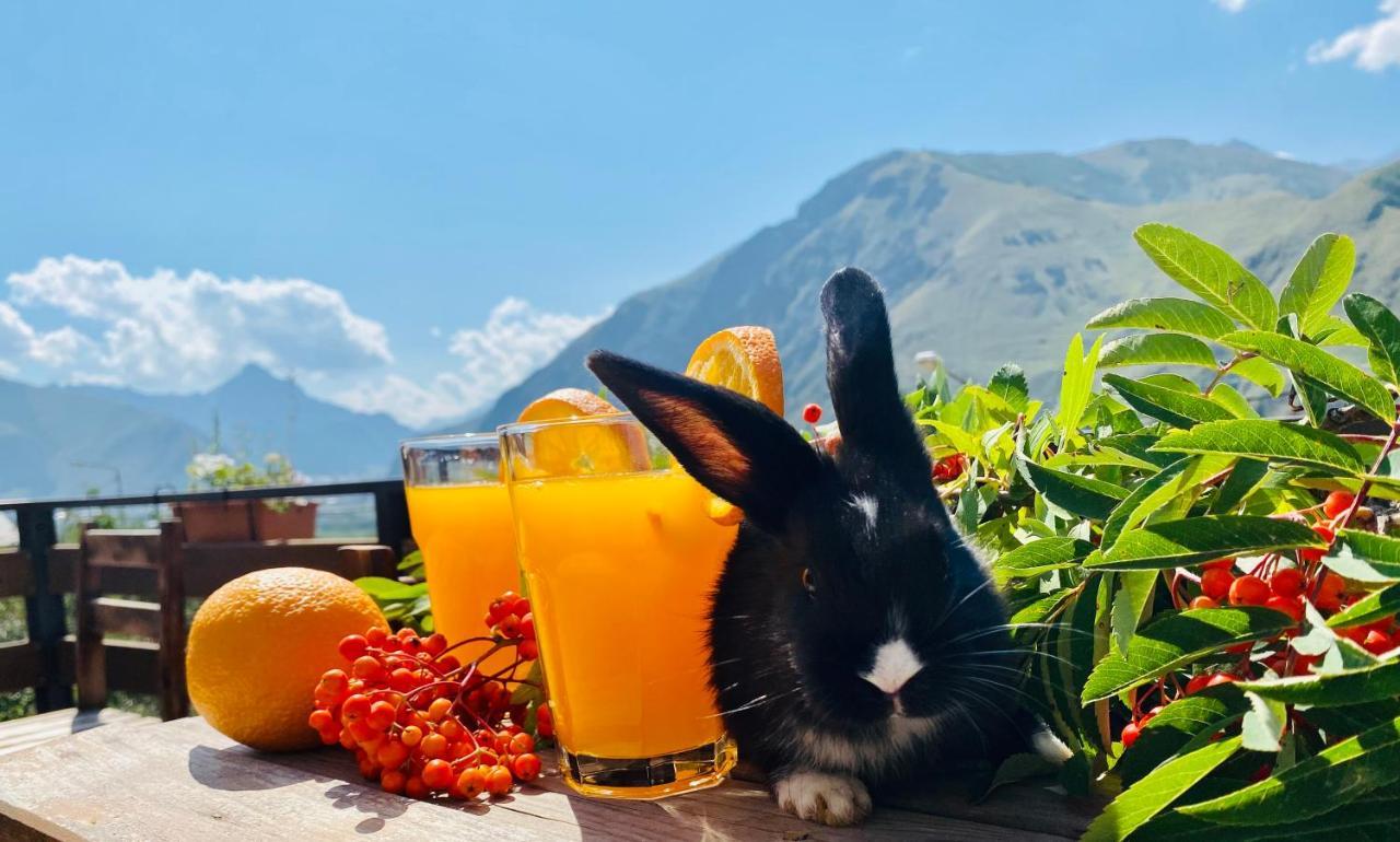 Hotel Kazbegi 1963 Eksteriør billede
